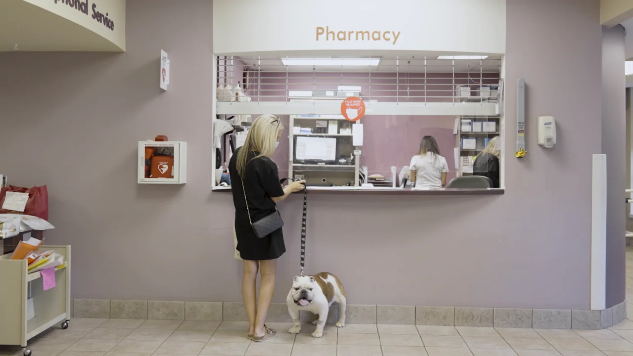 Optimizing workflows at Oradell Animal Hospital with passion and technology solutions - Covetrus Technical Solutions | North America Optimizing workflows at Oradell Animal Hospital with passion and technology solutions - Covetrus Technical Solutions | North America
