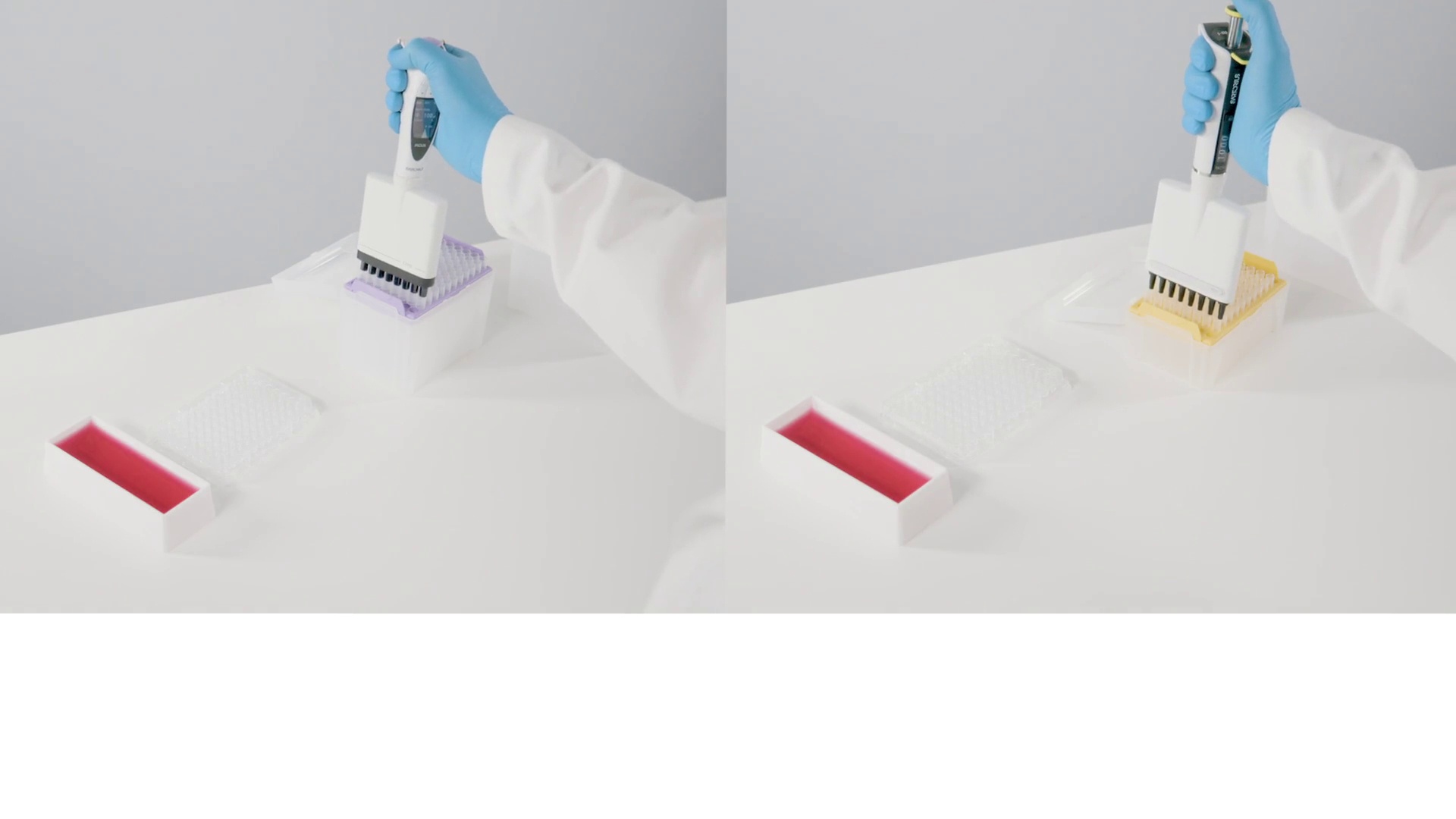 Vaata videot Nova LinkedInnis.