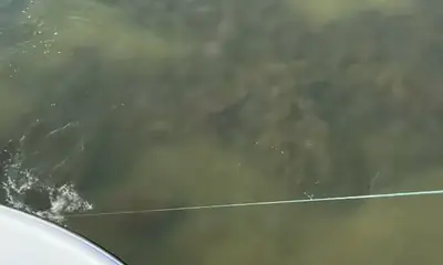 South Florida Report Video 0