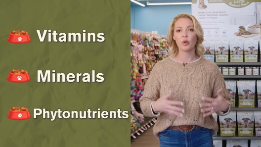 Badlands Ranch Superfood Complete Grain-Free Beef Air-Dried Dog Food