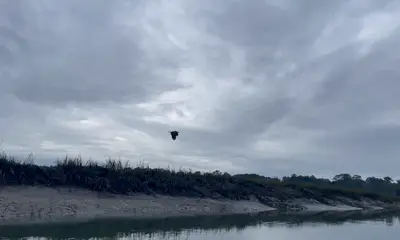 Hilton Head Island Report Video 0