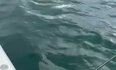 La Fortuna Report Video 0