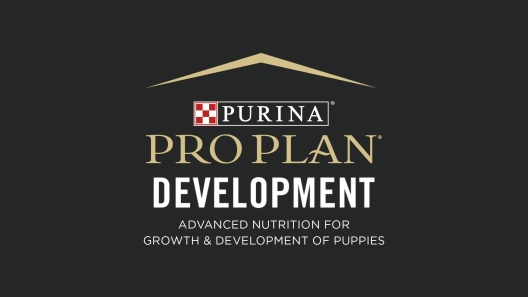 Play Video: {{title}}Learn More About Purina Pro Plan From Our Team of Experts