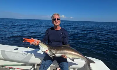 St. Simons Island Report Video 0