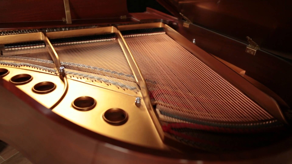 1985 Steinway Grand S