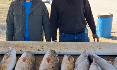 San Antonio Report Video 0