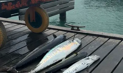 What an experience!