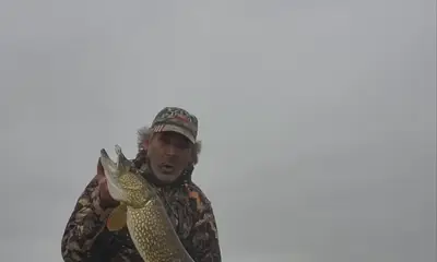 Minnesota Report Video 1