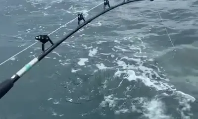 Fort Lauderdale Report Video 0