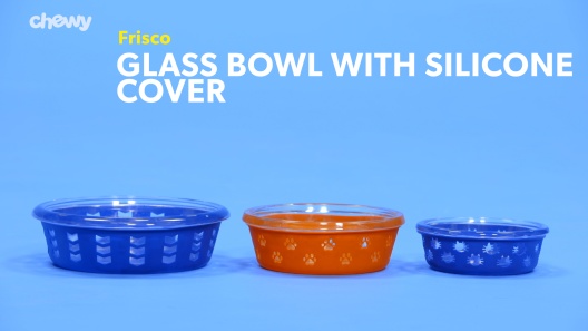 Water Cup Food Container Plus 2 Silicone Bowls - Pawtisfaction