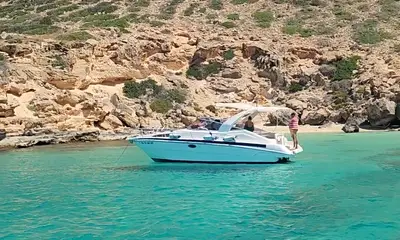 Absolute Winner in my kids eyes
