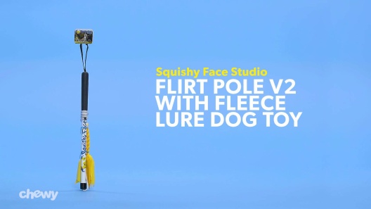 Flirt Pole, Dog Chase Exercise Toy from Squishy Face Studio