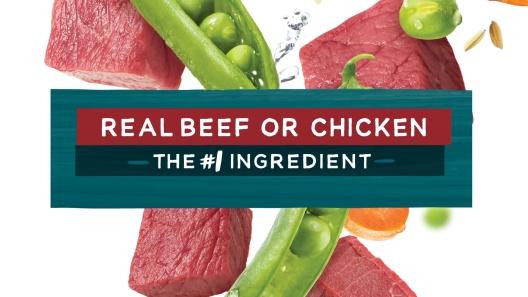 Purina Beneful IncrediBites with Farm-Raised Beef Small Breed Dry Dog Food