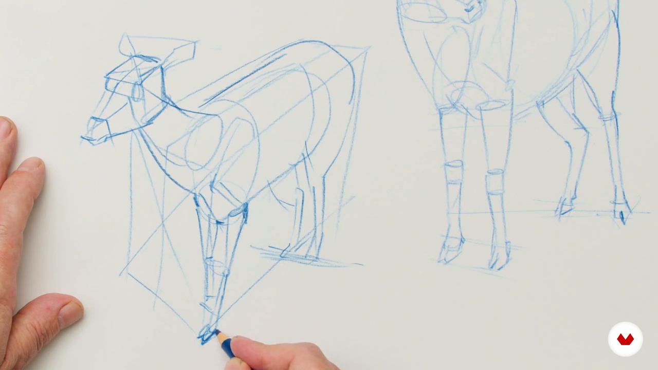 Looking for the Main Head Shapes