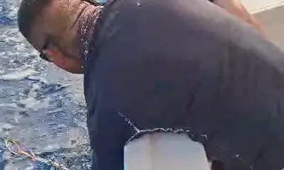 Playa Del Carmen Report Video 0