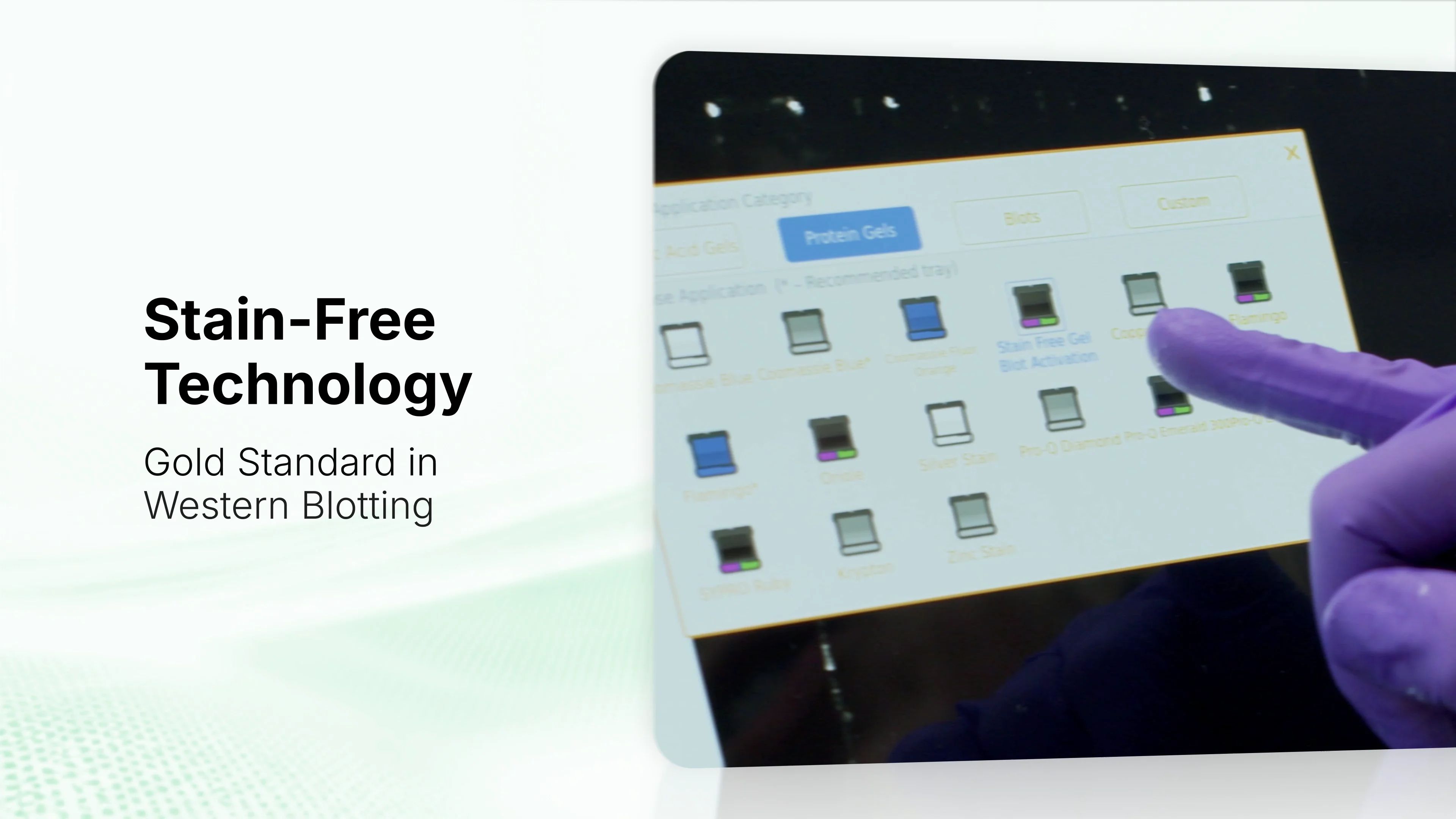 Introducing the ChemiDoc™ Pro Imaging System