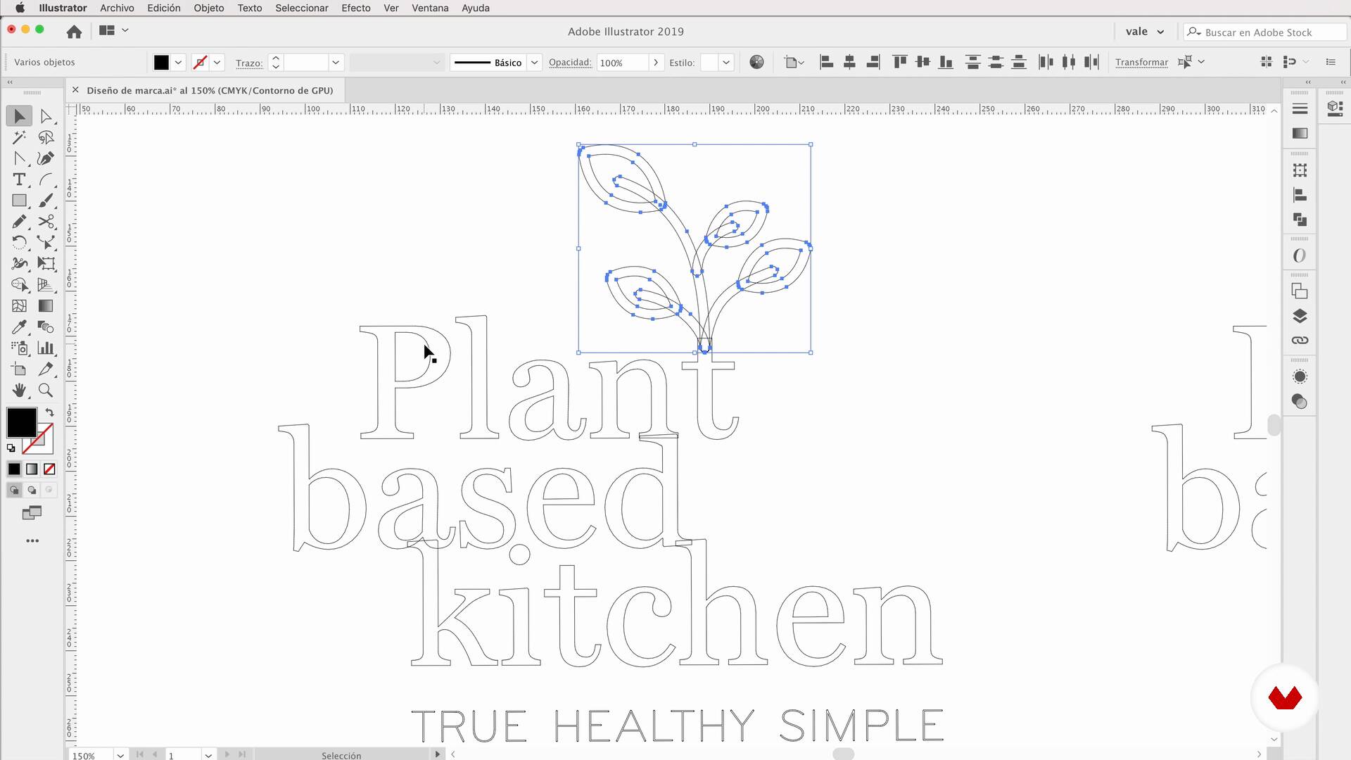Adobe Illustrator for Graphic Design
