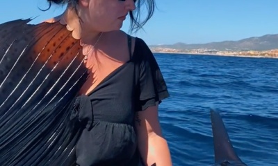 Cabo San Lucas Report Video 0