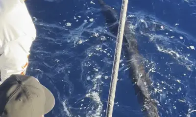 Miami-Dade County Report Video 0