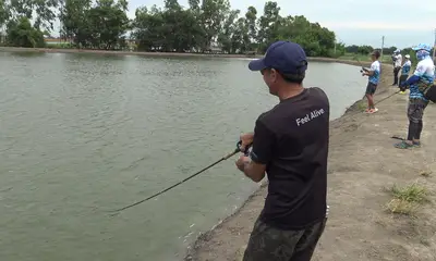 Bangkok Report Video 2
