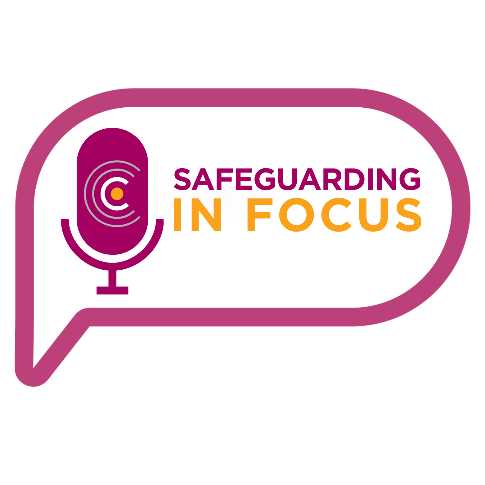 Safeguarding In Focus cover art