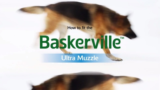 Play Video: Learn More About Baskerville From Our Team of Experts