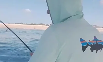 San Jose del Cabo Report Video 1