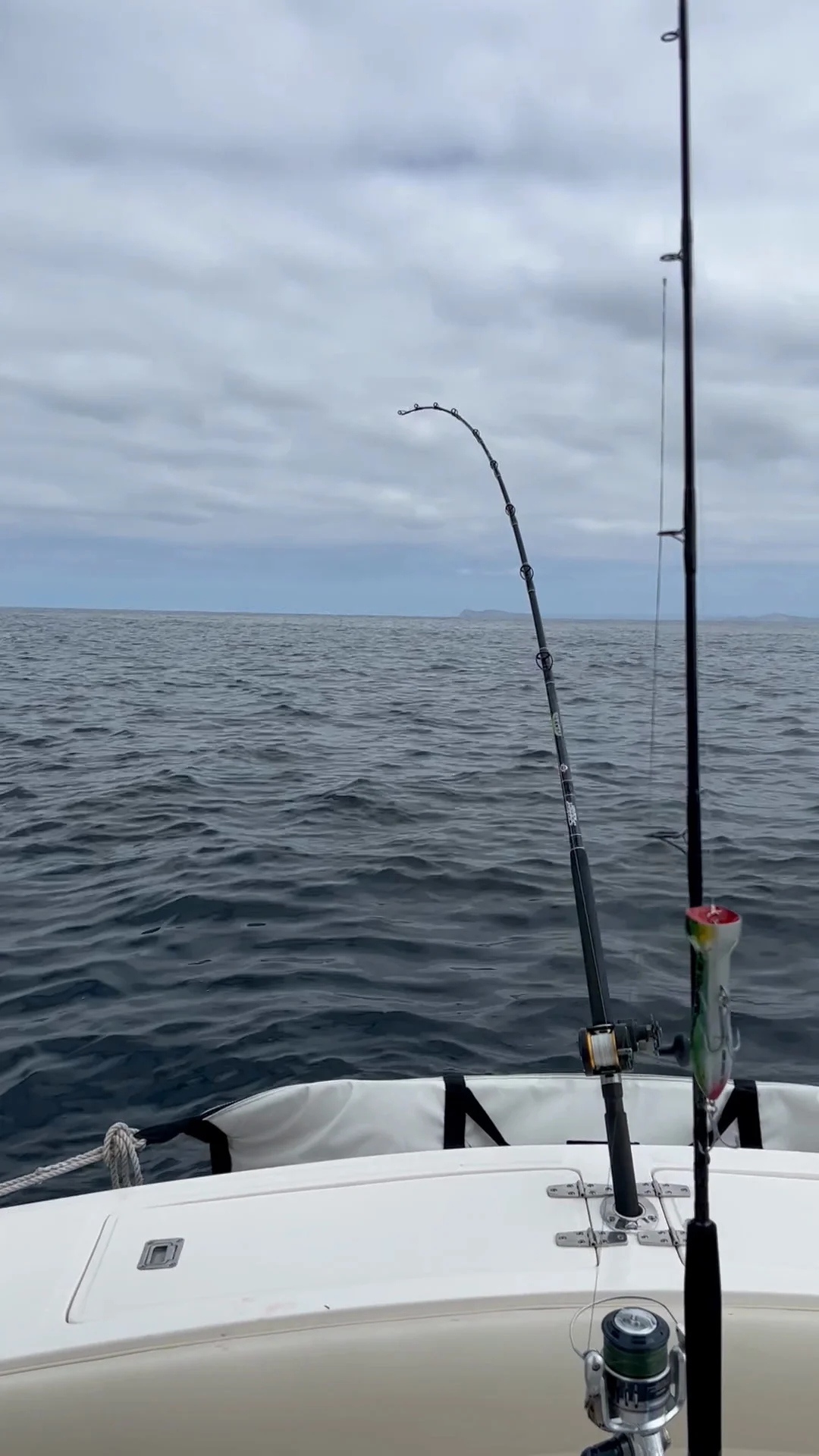 Business Card: Fish Further Charters
