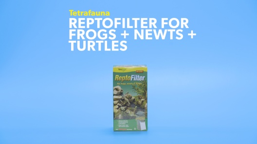 Play Video: Learn More About Tetrafauna From Our Team of Experts