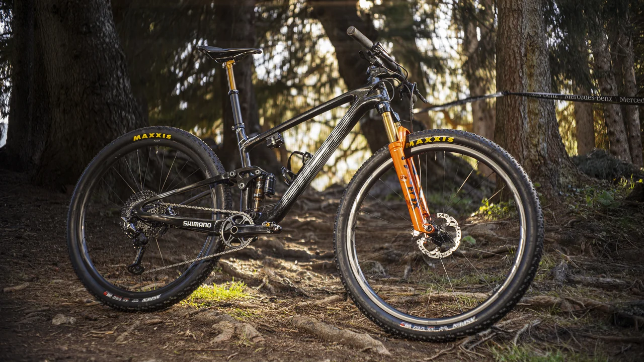 Giant anthem hot sale 29er frameset