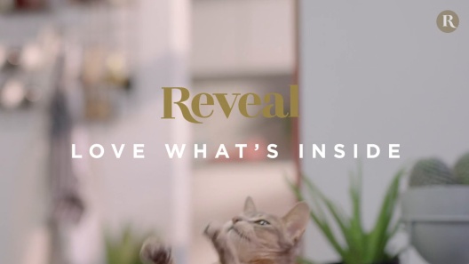 Play Video: Learn More About Reveal From Our Team of Experts