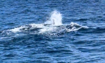 Paquera Report Video 1