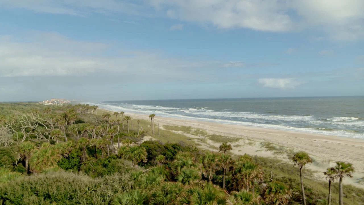 Moments in Nature on Amelia Island, Florida - Moments in Nature on Amelia Island, Florida -