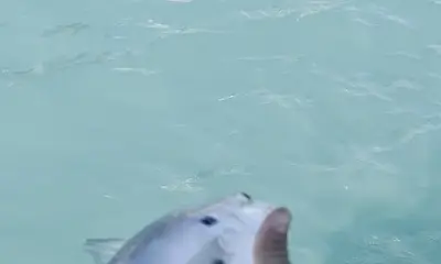 Jensen Beach Report Video 0