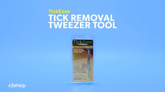 Play Video: Learn More About TickEase From Our Team of Experts