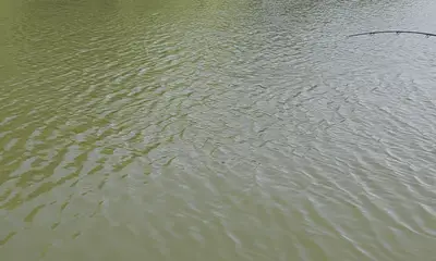3 days of tarpon fishing 