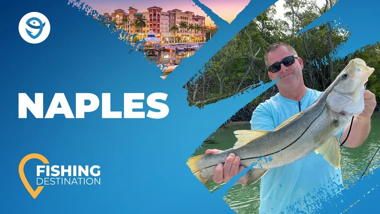 Fishing in NAPLES: The Complete Guide