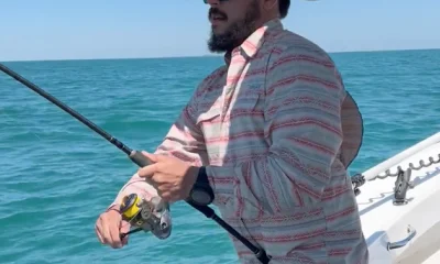 Palmetto Report Video 0