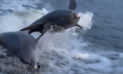 Great experience, tailored to our expectations! Captain Isaiah was great!