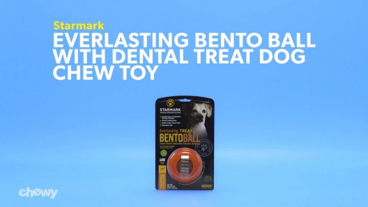 Starmark Everlasting Treat Bento Ball Dog Chew Toy — Concord Pet Foods &  Supplies