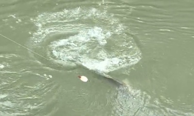 Hilton Head Island Report Video 0