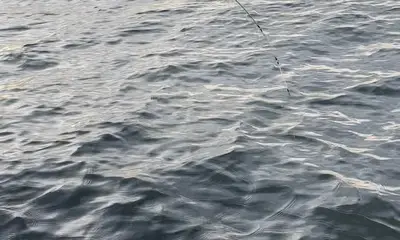Sometimes everything is Perfect!