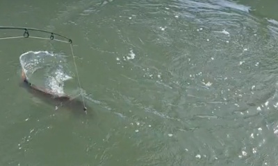 Hilton Head Island Report Video 0