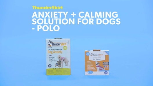 ThunderShirt Classic Anxiety & Calming Vest for Dogs, Heather Grey
