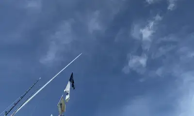 Cabo San Lucas Report Video 2
