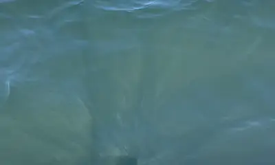 Narragansett Report Video 0