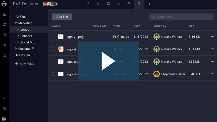Product Videos Projectmanager Product Videos Projectmanager