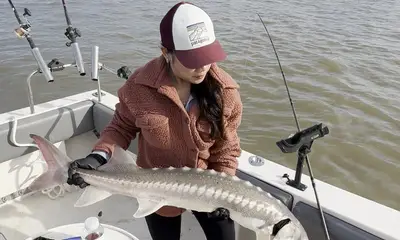 Berkeley Report Video 1