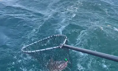 Erie Report Video 0