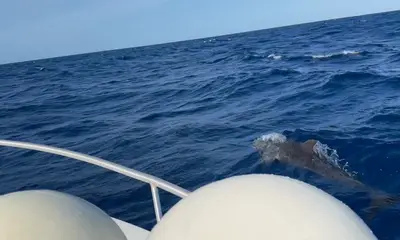 Great time on the Grand Slam